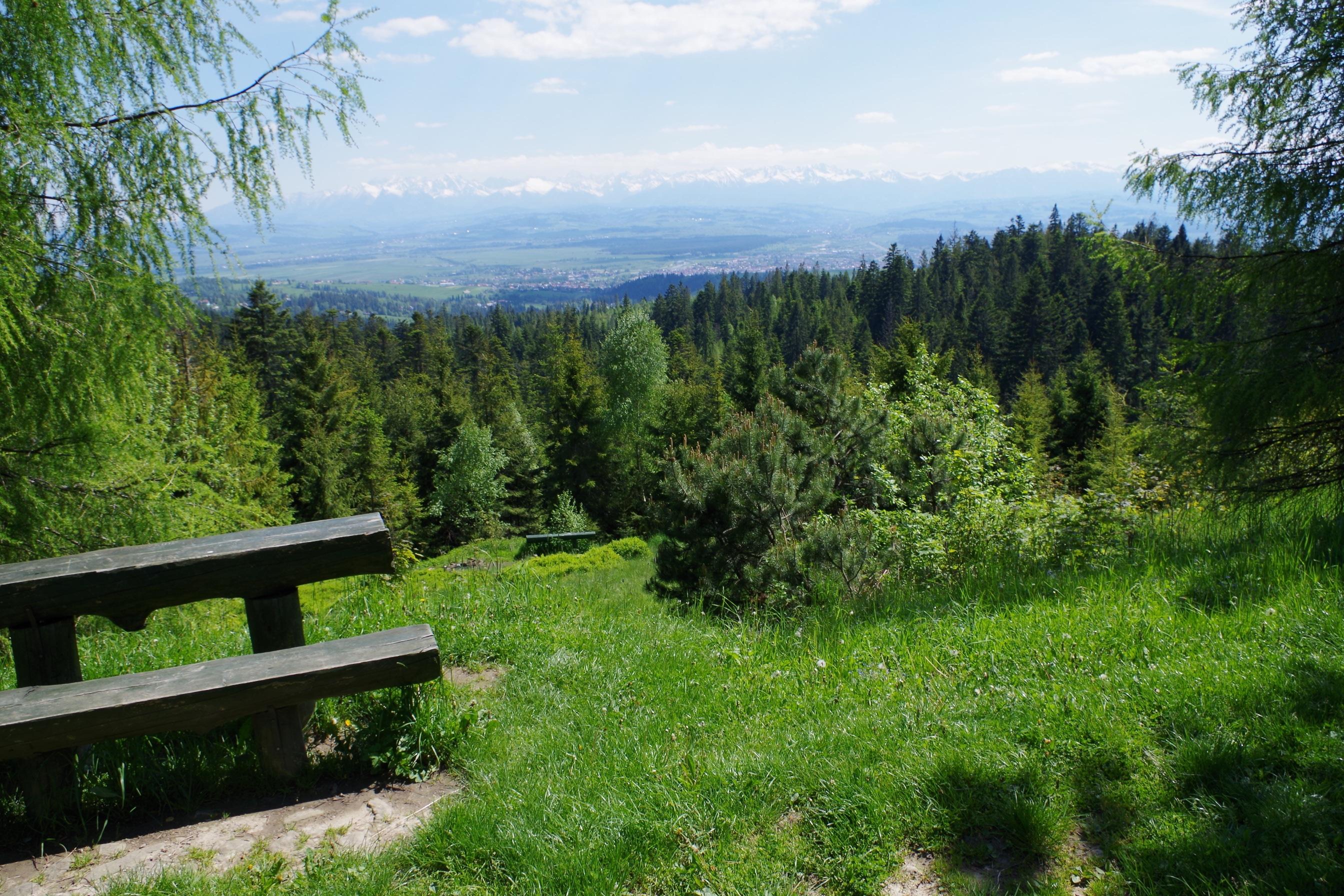 Polana Łapsowa Niżna